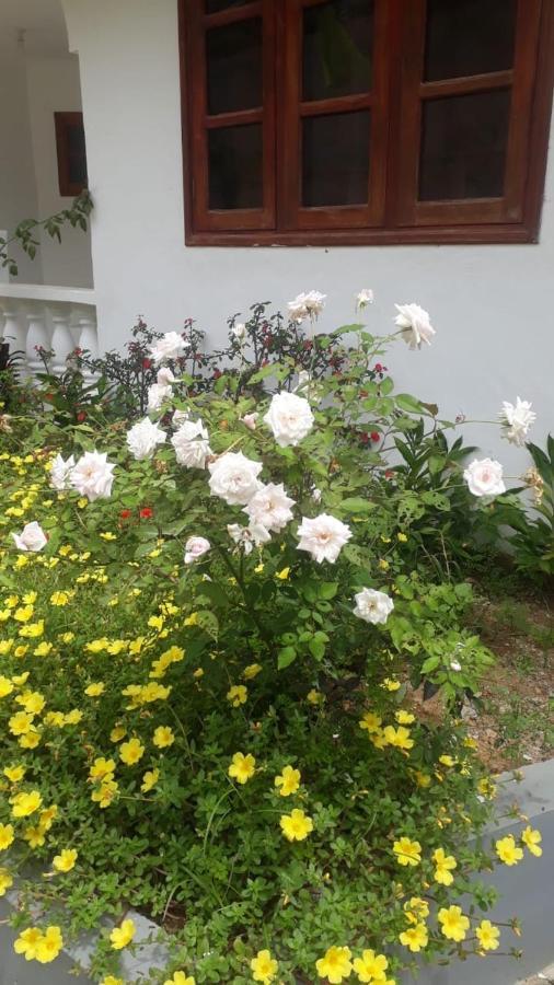 Ogumka, Self Catering , Beoliere, Mahe Hotel Victoria Ngoại thất bức ảnh