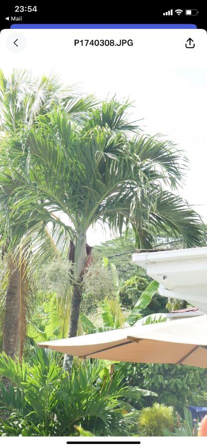 Ogumka, Self Catering , Beoliere, Mahe Hotel Victoria Ngoại thất bức ảnh