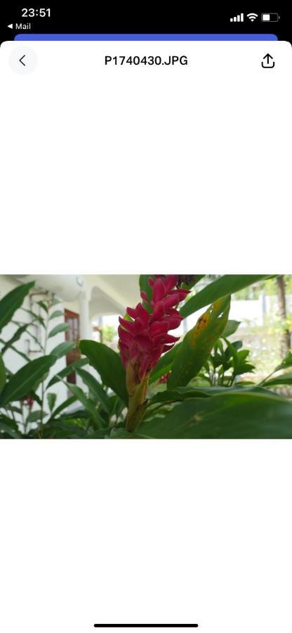Ogumka, Self Catering , Beoliere, Mahe Hotel Victoria Ngoại thất bức ảnh